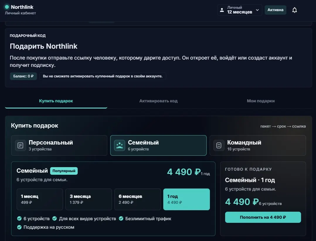 Подписка Northlink в подарок близким — фото 2